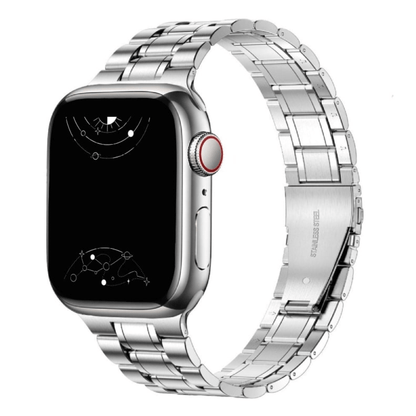 Alere Stainless Steel Band