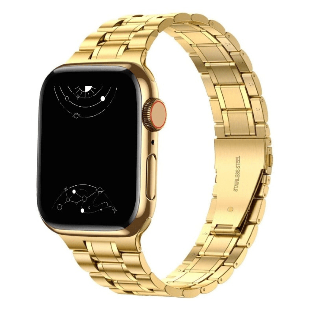 Alere Stainless Steel Band