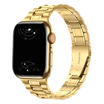 Alere Stainless Steel Band